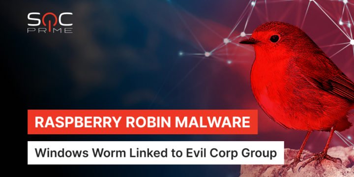 Raspberry Robin Malware