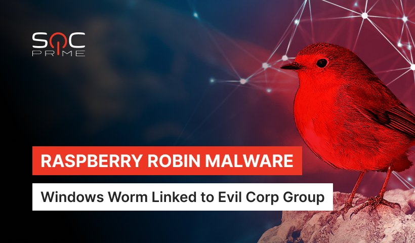 Raspberry Robin Malware