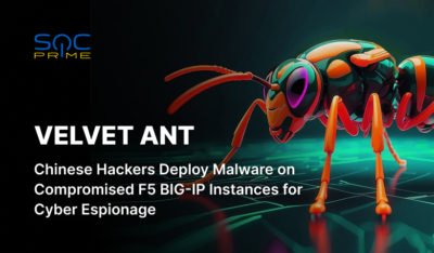 Velvet Ant Activity Detection