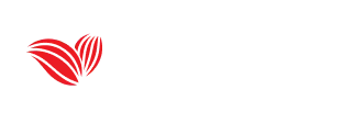 Roota